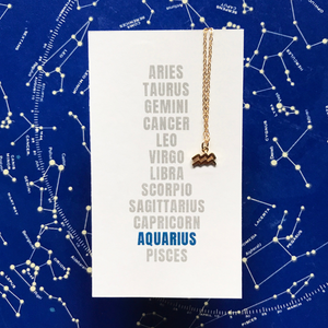 Aquarius Zodiac Bundle