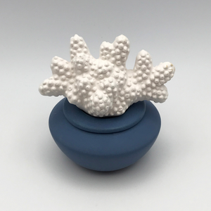 Coral Porcelain Diffuser
